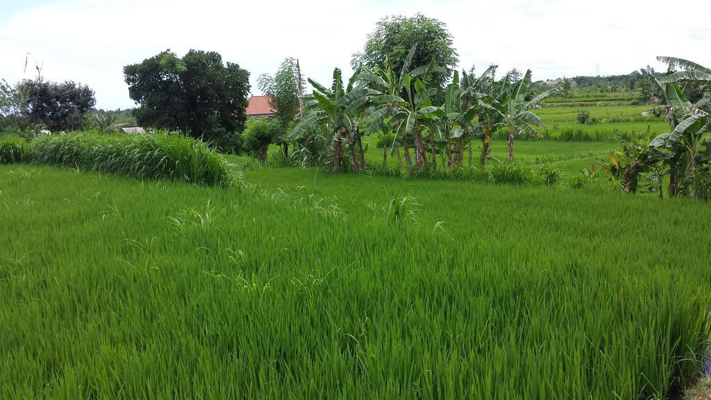 Puri Pondok Dawa Villa Kusamba Dış mekan fotoğraf